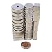 Ziotek Neodymium Super Magnet, Large Kit, EF03