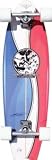 Gravity Larry Bertlemann Pepsi Complete Longboard Skateboard - 9.25