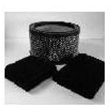31tgYPNxq4L. SL160  CPZ Air Filter Reviews