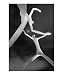 Tango Scenic Photographic Poster Print by John Naylor, 16x20