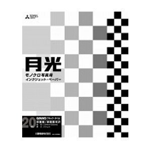 PICTORICO GEKKO インクジェット用紙 モノクロ滑面無光沢タイプ ブラック・ラベル 四切 20枚 GKK-4G/20
