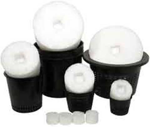 Sure To Grow Squall- 4.75"x 6" Square (1 pc.)