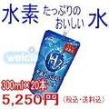 ���f�����Ղ�̂����������@�P�P�[�X�i300mL�~20�{�j