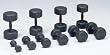 Set of 3 - Dumbbells 12 lbs. (5.4kg) Pair of Each