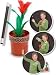 Magic Flowering Pot