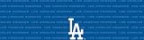 Los Angeles Dodgers Team Auto Visor Decal