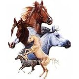 Horse Collage Youth Sweatshirt