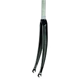 Nashbar Carbon 1 Threaded Road Fork