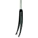 Nashbar Carbon 1\