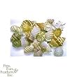 FMR HERMIT SHELL MEDIUM 12PC FMR HERMIT SHELL MEDIUM 12PC