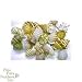 FMR HERMIT SHELL MEDIUM 12PC