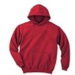 Youth Hooded Sweatshirt