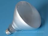 300w 120v - R40 Med Base Flood Bulb