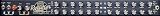 MESA BOOGIE ROAD KING 2x12