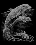 Royal Brush Silver Foil Engraving Art Kit 8X10 Dolphins SILF-11, 3 Item(s)/Order