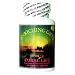 Coral Life Calcium is obtained from the coral reefs of Japan and meet the very high standards set by Ronald K Schnieder who first brought Coral Calcium to the United States. Coral Live calcium is recognized for its high bio-availability. Calcium contributes to the strength of the bones and teeth and to the health & function of the bodies cells.::500mg :These statements have not been evaluated by the Food and Drug Administration (FDA). This product is not intended to diagnose, treat, cure, or prevent any disease.