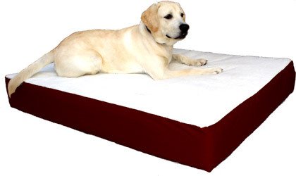Large/XL 34x48 Orthopedic Double Dog Bed - Burgundy