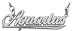 10K White Gold Aquarius Script Zodiac Pendant Jan 21-Feb 19 with 18