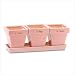 Bloom Baby Flower Garden Pink Ceramic Decor Plant Pots [Kitchen]