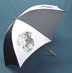 image link -  - B0006NEKQ6