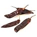 Guajillo Chiles by ChefShop