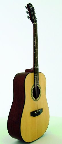 NEW HOHNER 300 SERIES HARDSHELL CASE
