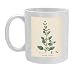 Photo Mugs of Melissa Officinalis from Mary Evans