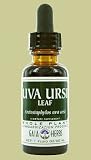 Uva Ursi Leaf 1 Ounces
