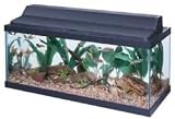 30 FLUORESCENT DELUXE BLACK HOOD