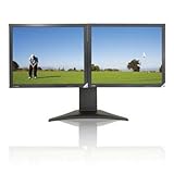 DoubleSight 19-Inch Dual Lcd Monitor (DS-1900S)