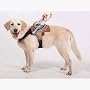 Cowboy Pet Costume
