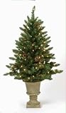 3′ Pre-Lit Indoor/Outdoor Freemont Christmas Potted Topiary Tree with Pine Cones