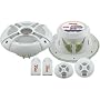 PYLE PLMR65C 250 Watts 6.5-Inch 2-Way Custom Marine Component System