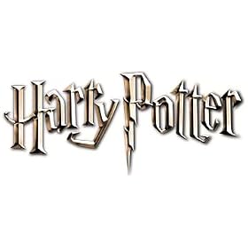 Harry Potter Electronic Interactive Wand