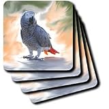 African Grey Parrot - Set Of 4 Coasters - Soft