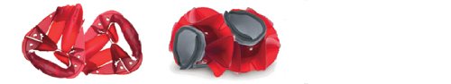 Speedo Hydro Resistant Combo Set
