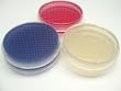 Prepared Nutrient Agar in Disposable Sterile Plates