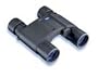 Zeiss 10x25 AS BT Victory Compact Binoculars USA