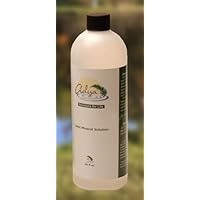 Adya AC16OZ Clarity 16 Ounce Ionic Mineral Solution