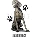 Weimaraner Adult T-Shirt