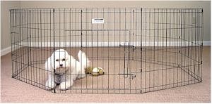 Exercise Pen - 48 Inch Hammered Finish