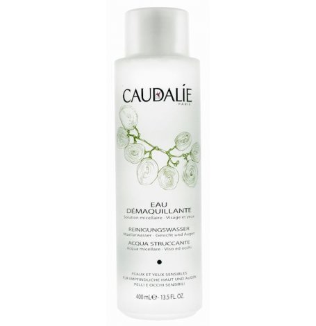 Caudalie Eau Demaquillante Reinigungswasser Sondergr&ouml;&szlig;e 400ml Preisvergleich