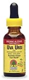 Uva Ursi--Leaf 1 Ounces