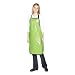 Top Performance Rubber Grooming Apron, Key Lime