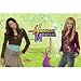 Hannah Montana Party Wall Mural