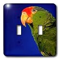Birds - Green Cheeked Amazon Parrot - Light Switch Covers - double toggle switch