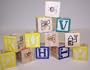 Super Bird Creations ABC Blocks 12 pack Bird Toy