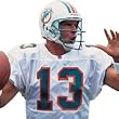 NFL Miami Dolphins Dan Marino - Sports Stick Wall Accent Mural/Stickers Set