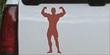 Sale Car Sport-Body Builder Sports Car Window Wall Laptop Decal Sticker -- Brown 36in X 18.9in