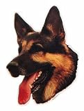 Eigenschaften Trixie  / Aufkl. Deutscher Schäferhund, (K)